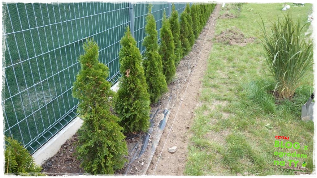 obrzeze_granitowe_zogrodemnaty10