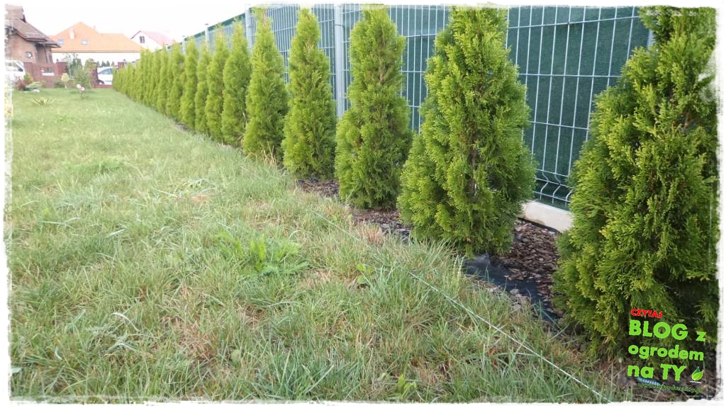 obrzeze_granitowe_zogrodemnaty2