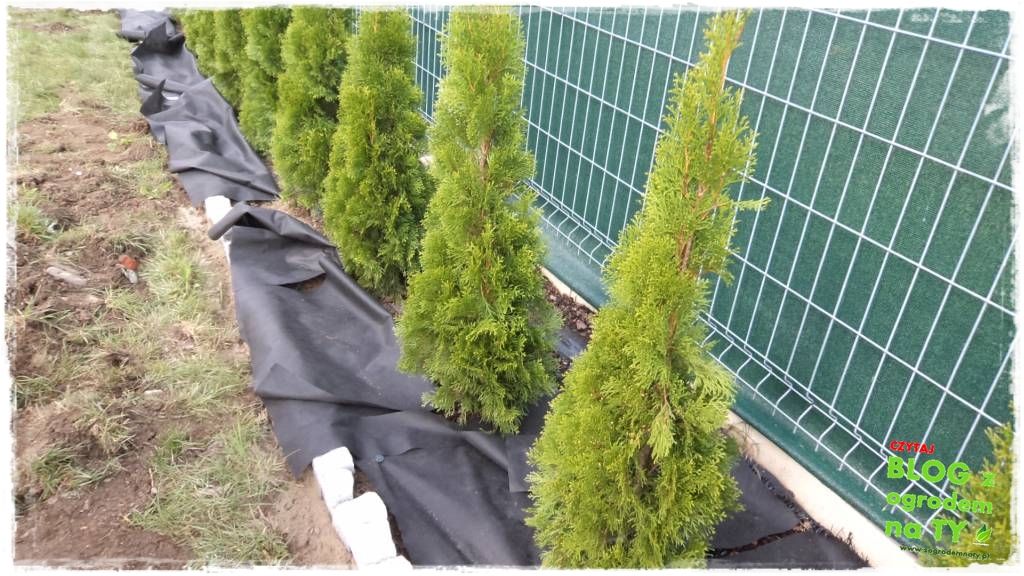 obrzeze_granitowe_zogrodemnaty21