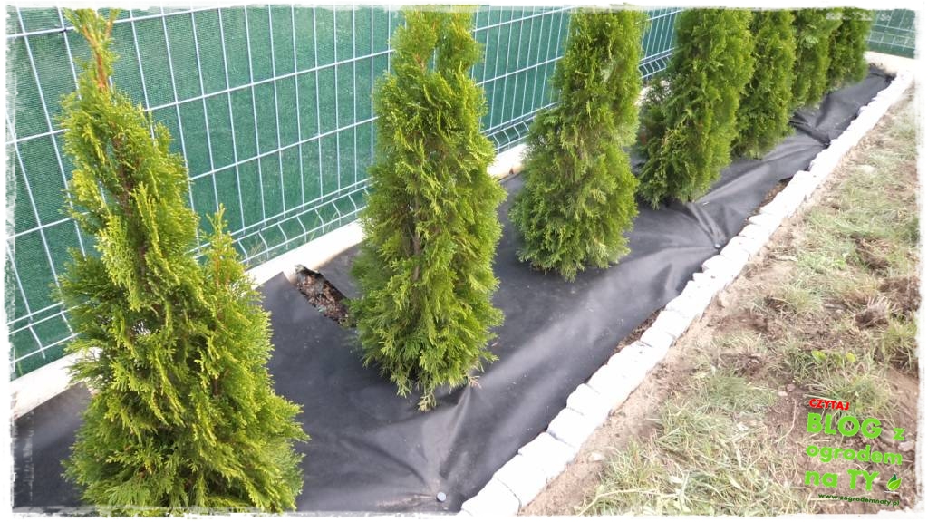 obrzeze_granitowe_zogrodemnaty23