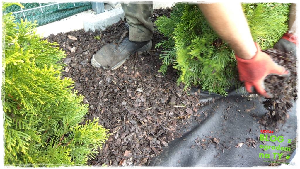 obrzeze_granitowe_zogrodemnaty27