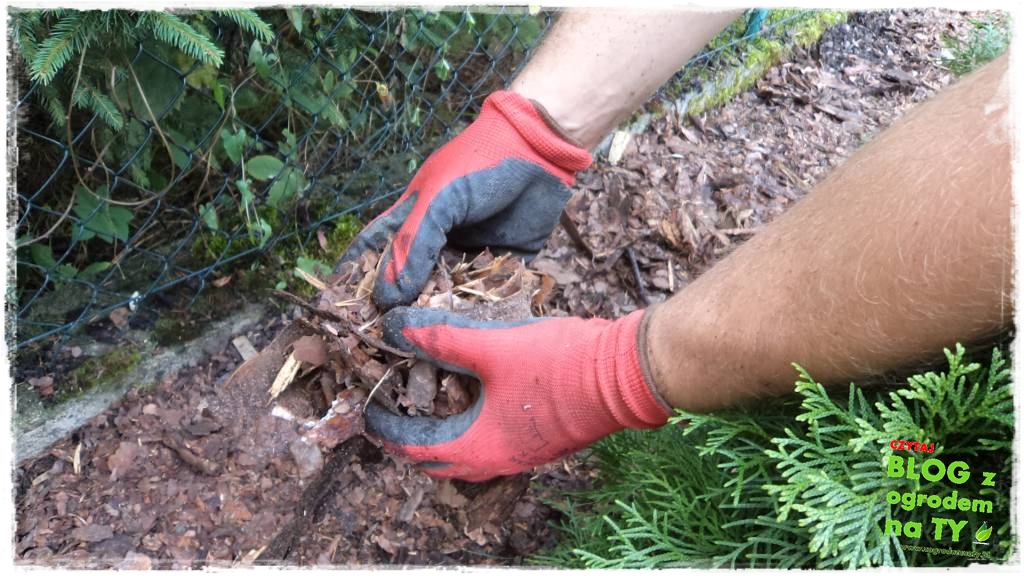 obrzeze_granitowe_zogrodemnaty28