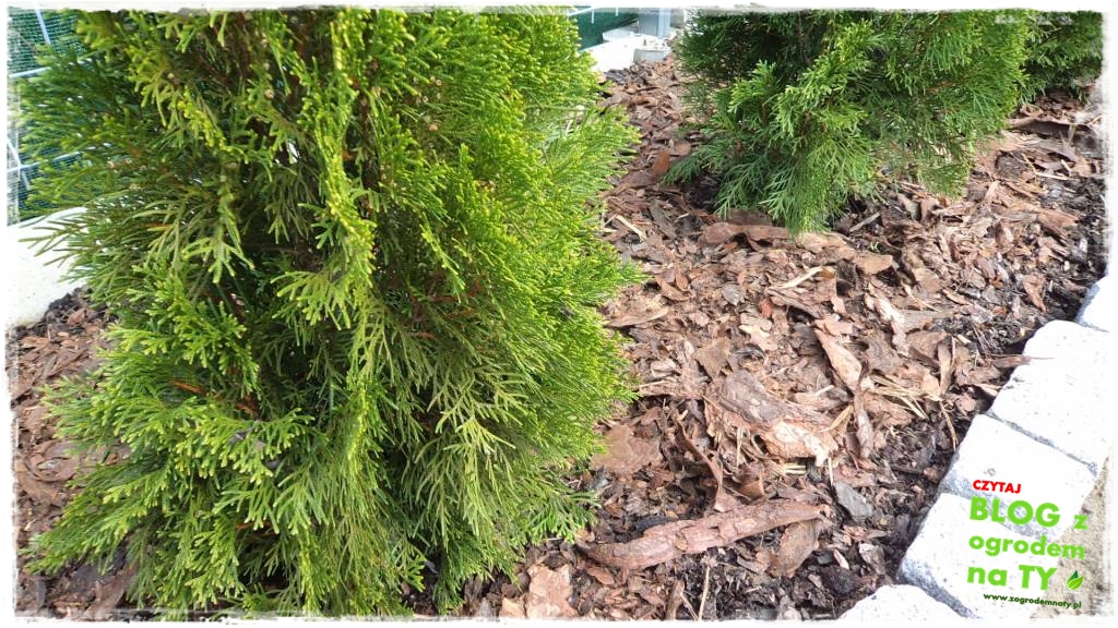 obrzeze_granitowe_zogrodemnaty29