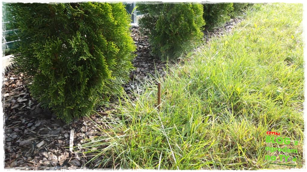 obrzeze_granitowe_zogrodemnaty3