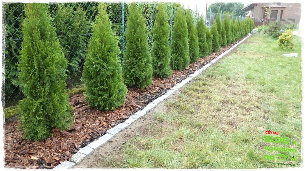 obrzeze_granitowe_zogrodemnaty35