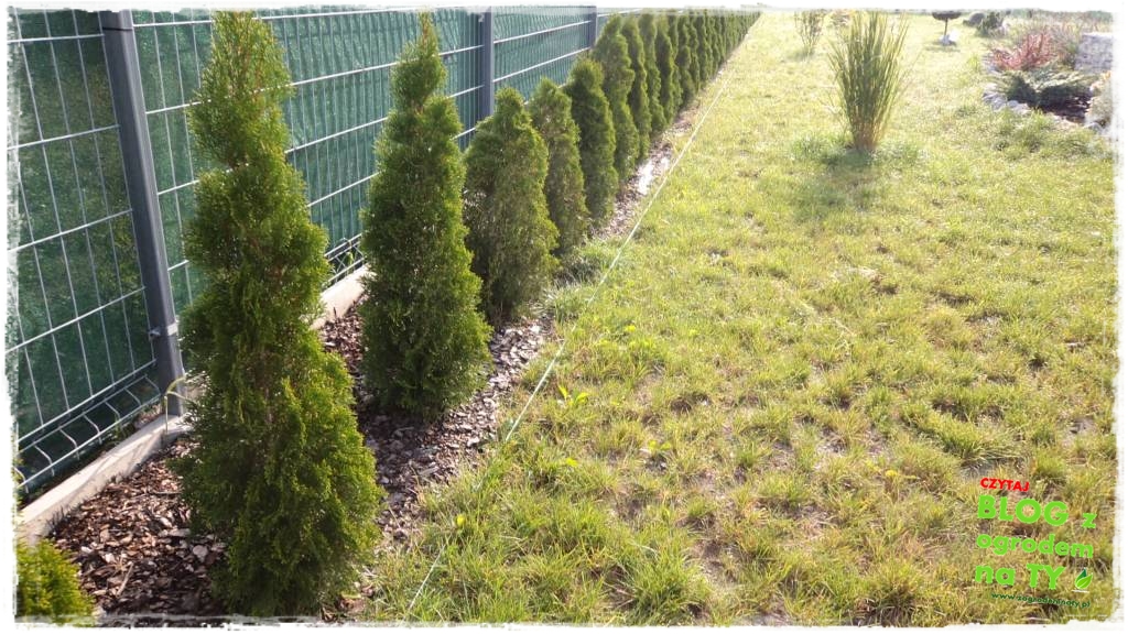 obrzeze_granitowe_zogrodemnaty4