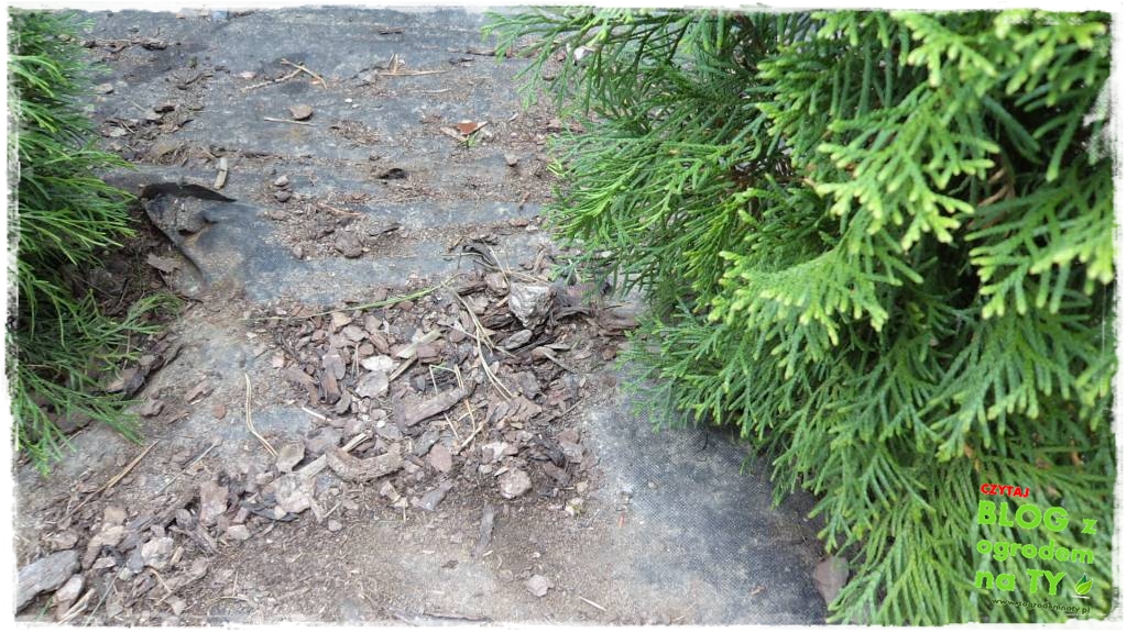 obrzeze_granitowe_zogrodemnaty7