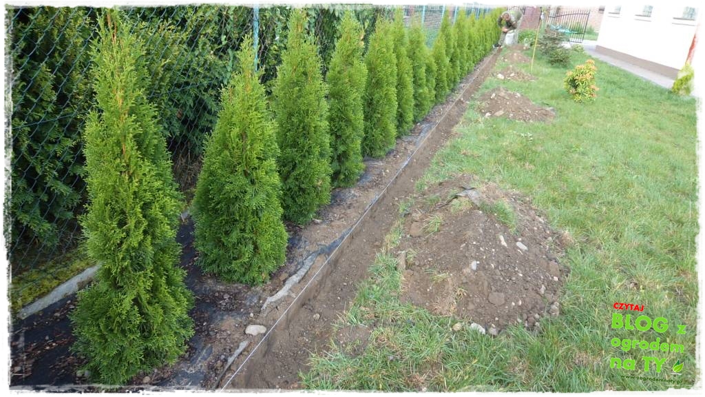 obrzeze_granitowe_zogrodemnaty8