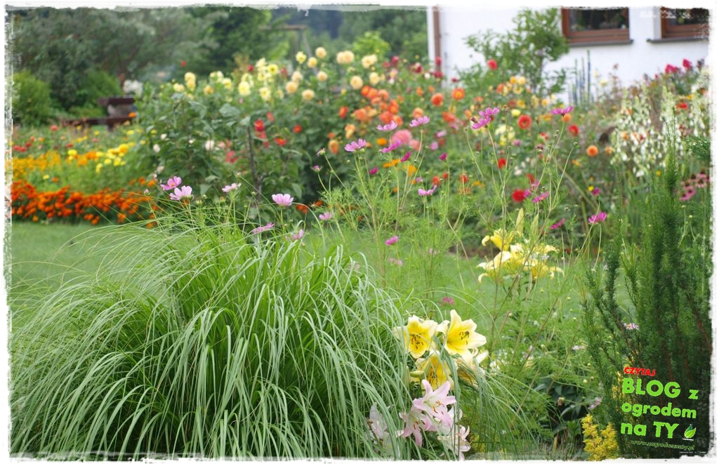 ogrodkwiatowy zogrodemnaty1