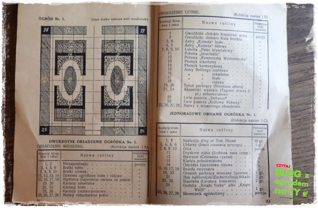 ogrodkwiatowy_zogrodemnaty2