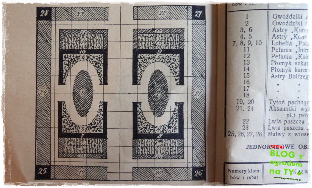 ogrodkwiatowy_zogrodemnaty3