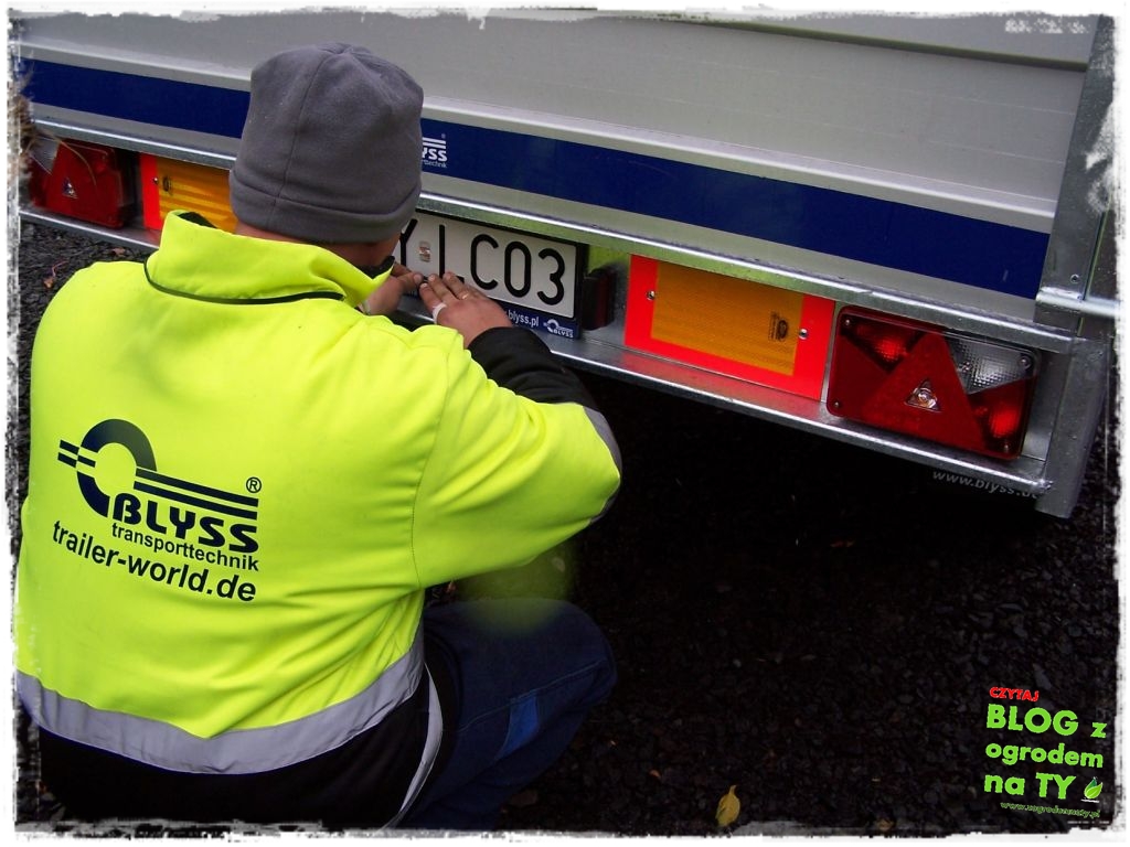 Blyss_zogrodemnaty11