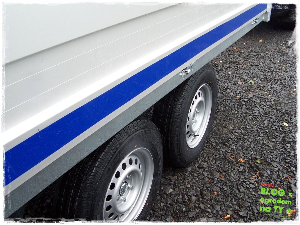 Blyss_zogrodemnaty13