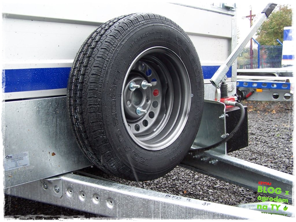 Blyss_zogrodemnaty14