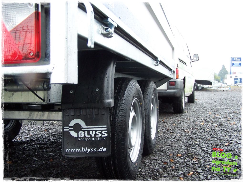 Blyss_zogrodemnaty15