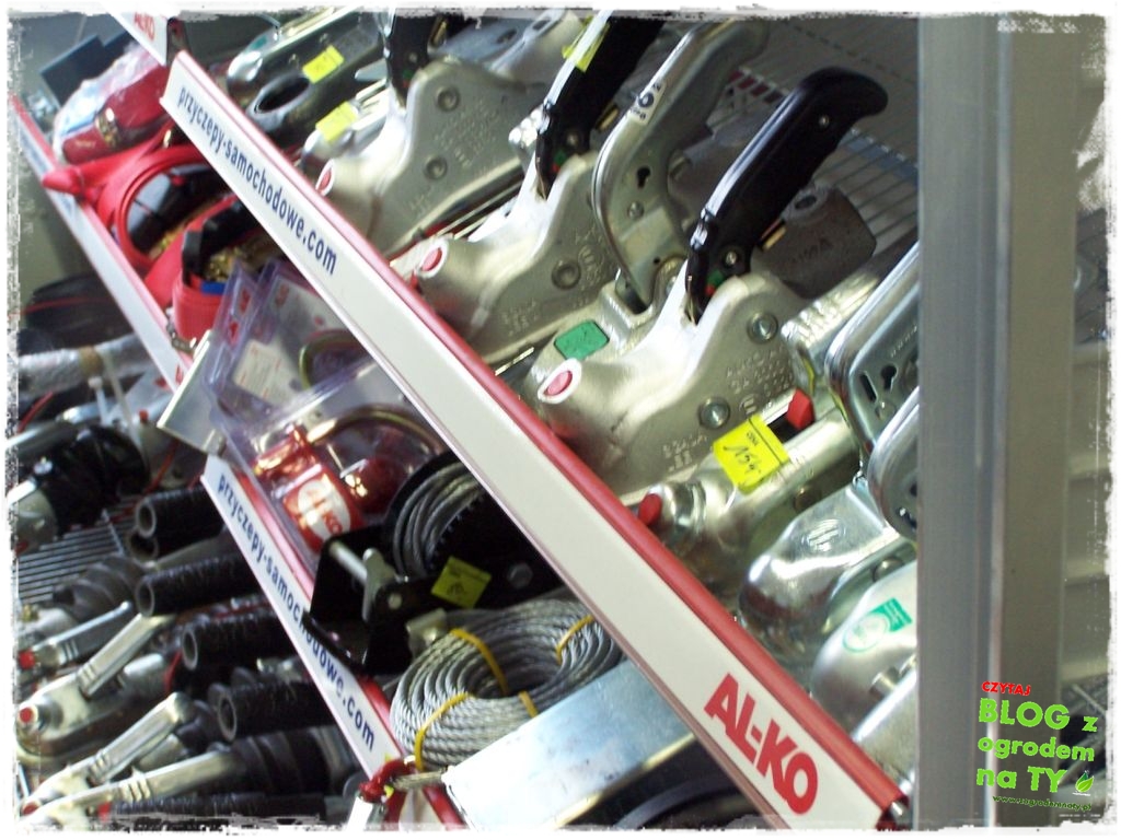 Blyss_zogrodemnaty17