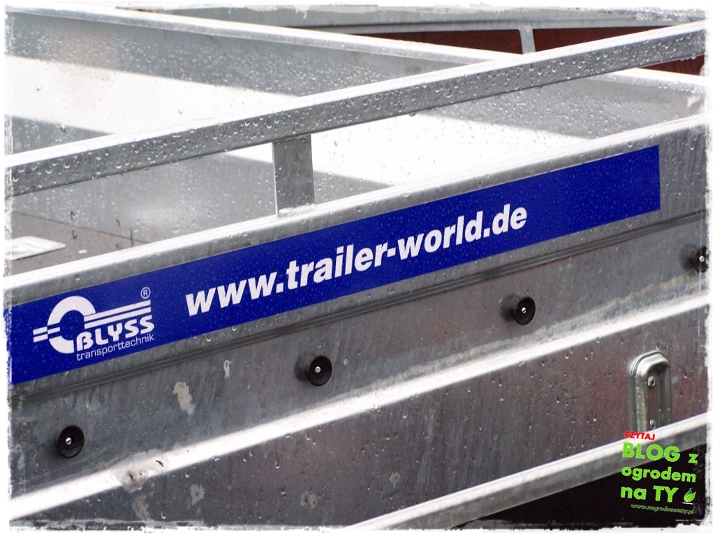 Blyss_zogrodemnaty18