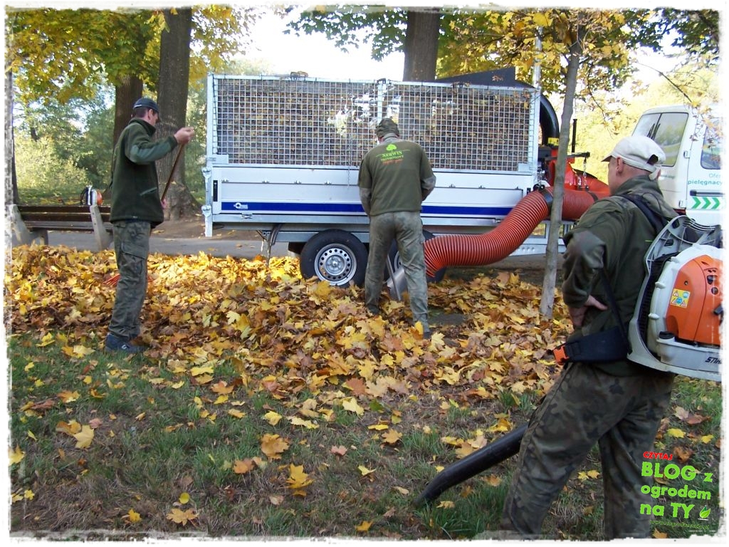 jesien_zogrodemnaty28