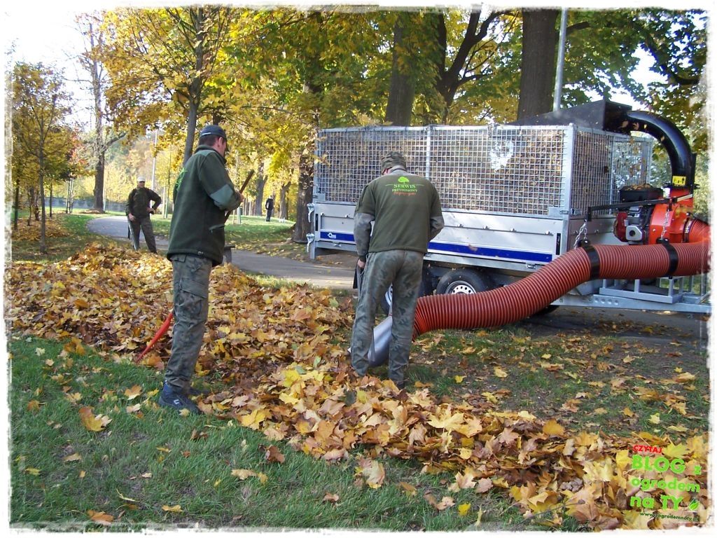 jesien_zogrodemnaty29