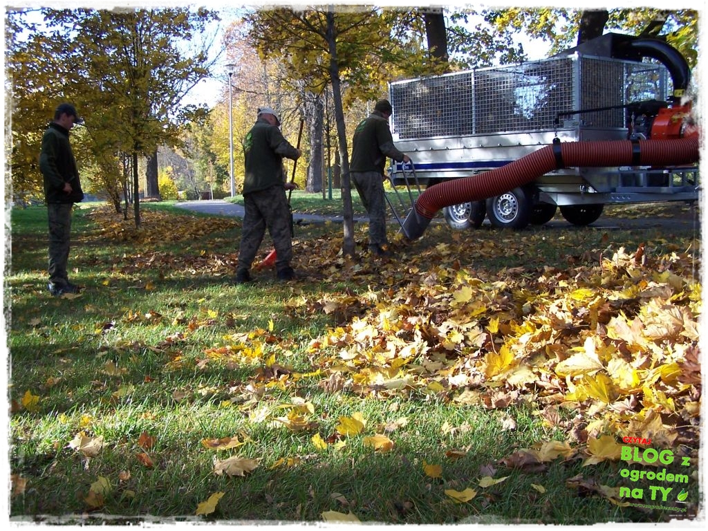 jesien_zogrodemnaty30