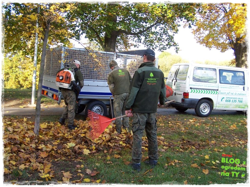 jesien_zogrodemnaty31