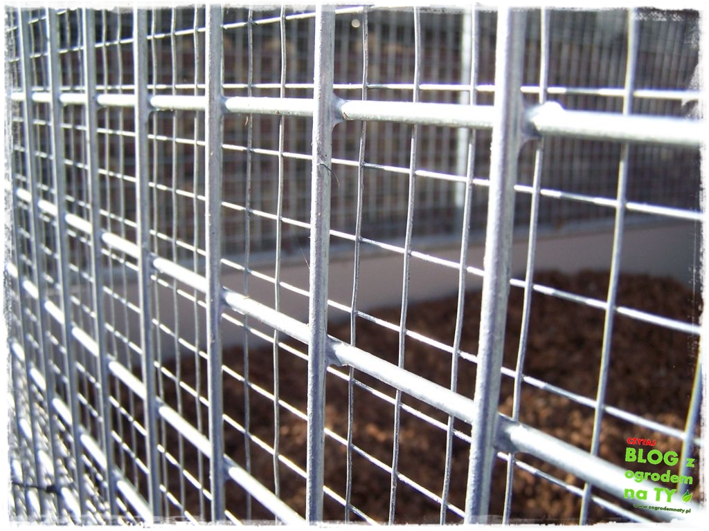 modyfikacja2_zogrodemnaty1