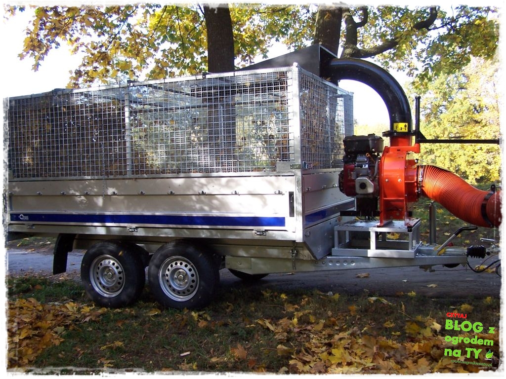 modyfikacja2_zogrodemnaty11