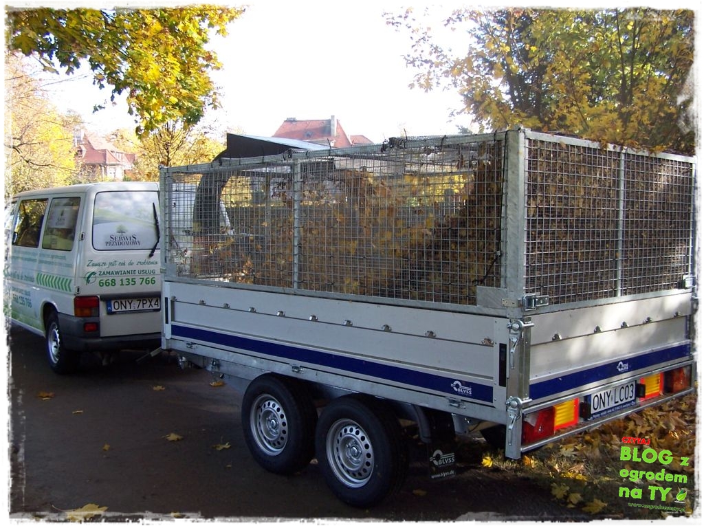 modyfikacja2_zogrodemnaty12