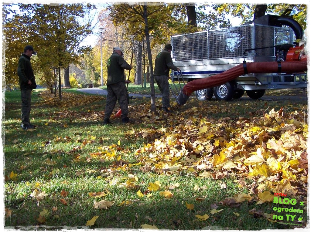 modyfikacja2_zogrodemnaty13