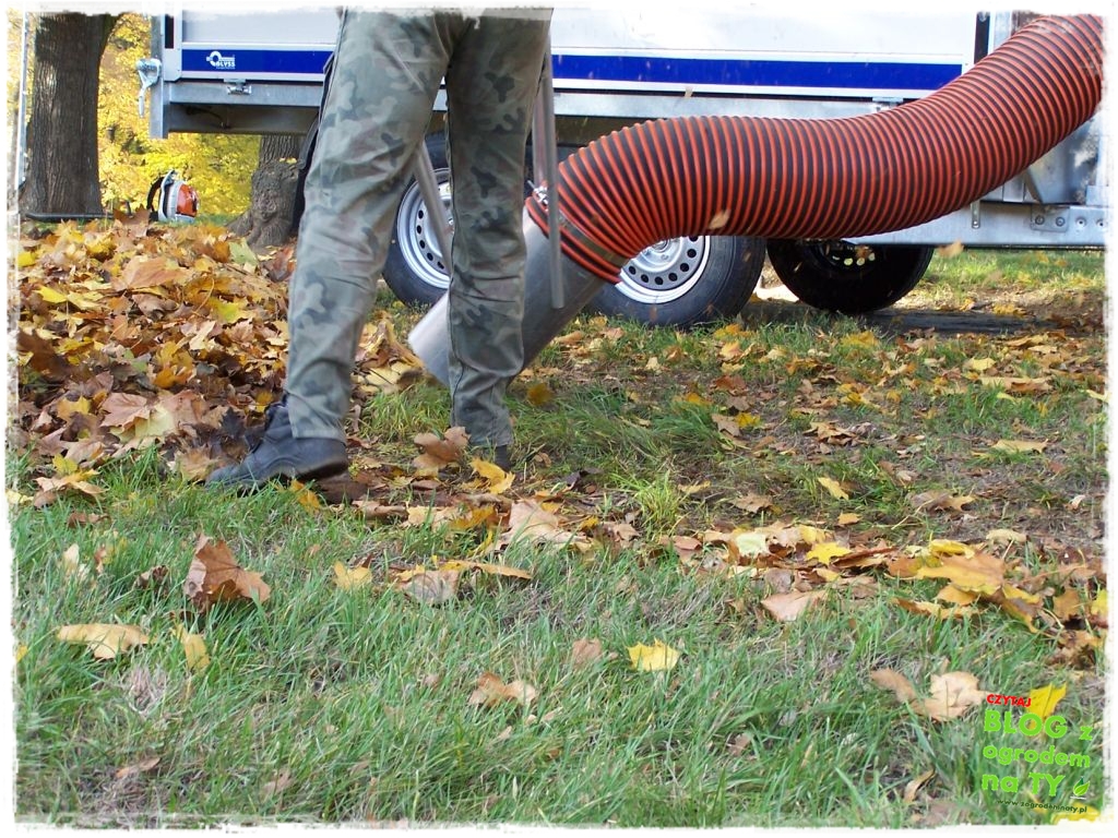 modyfikacja2_zogrodemnaty14