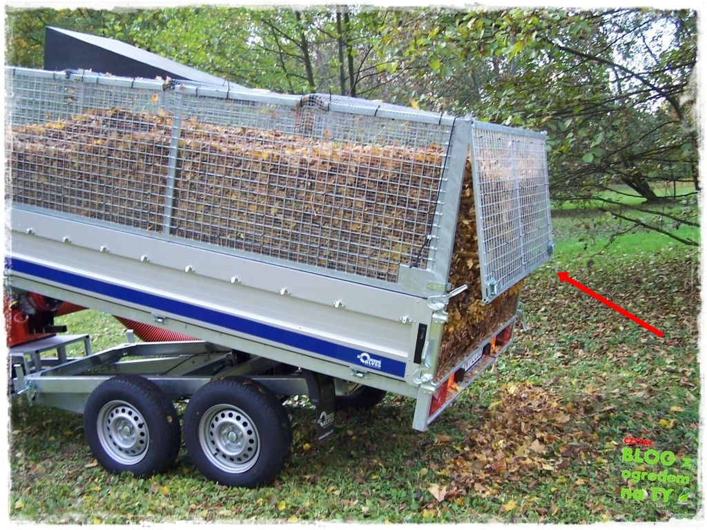 modyfikacja2_zogrodemnaty16