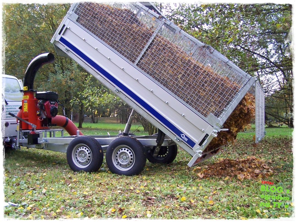 modyfikacja2_zogrodemnaty17