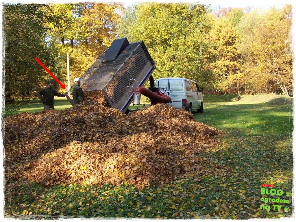 modyfikacja2_zogrodemnaty19