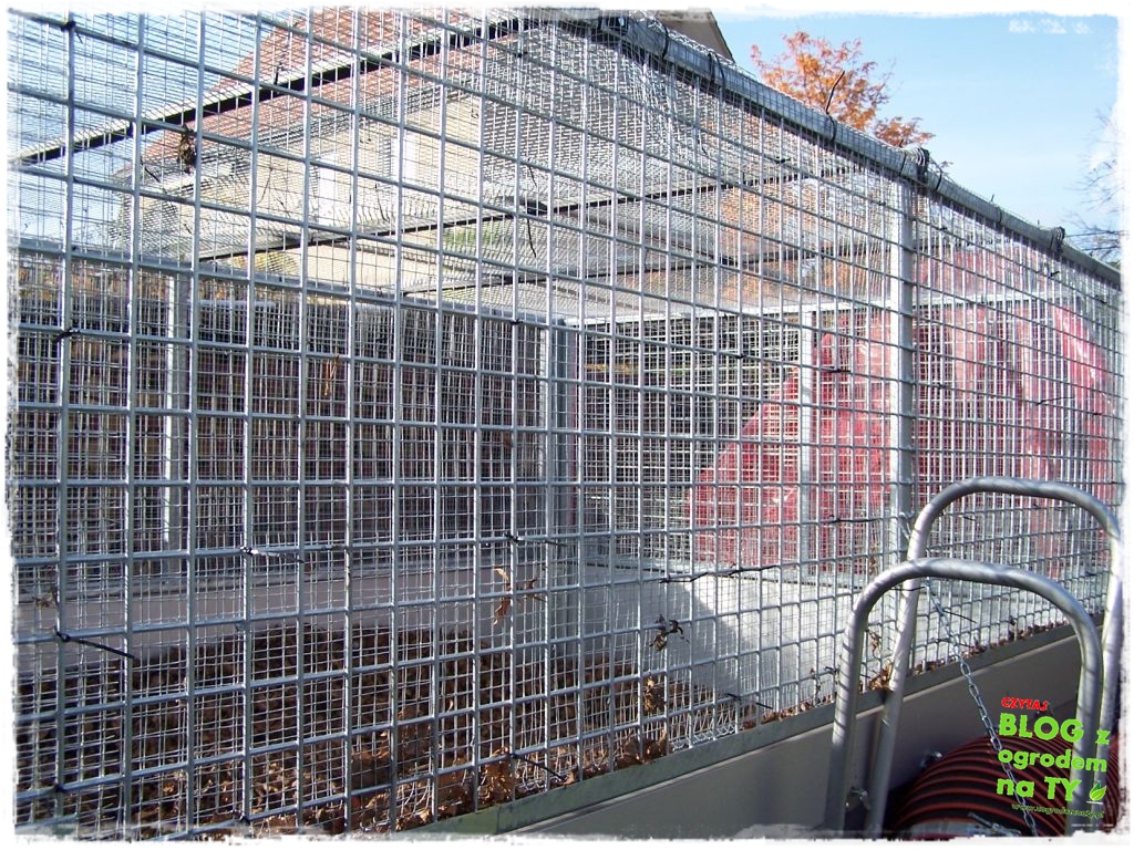 modyfikacja2_zogrodemnaty2