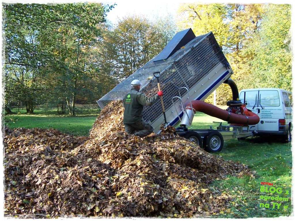 modyfikacja2_zogrodemnaty20