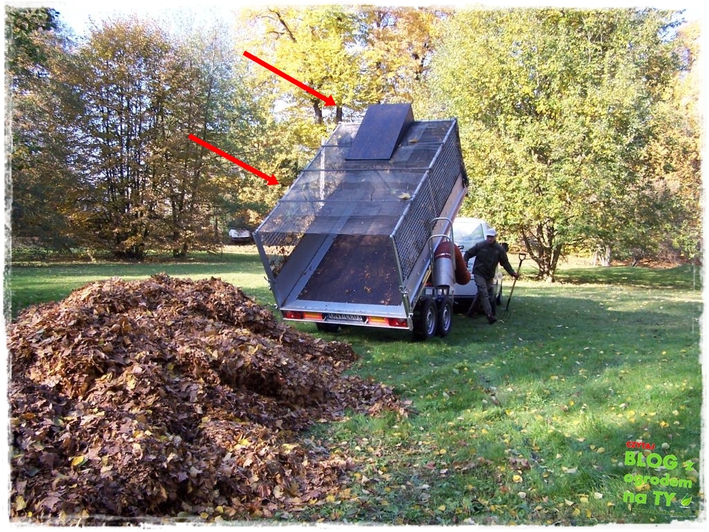 modyfikacja2_zogrodemnaty21