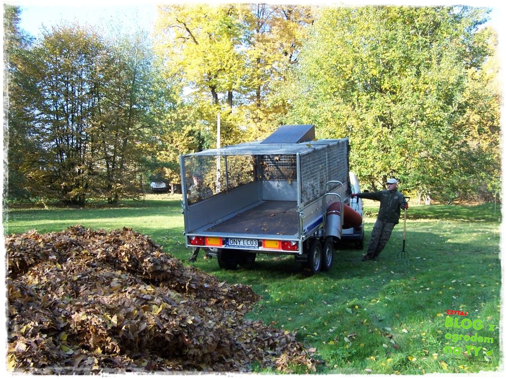 modyfikacja2_zogrodemnaty22