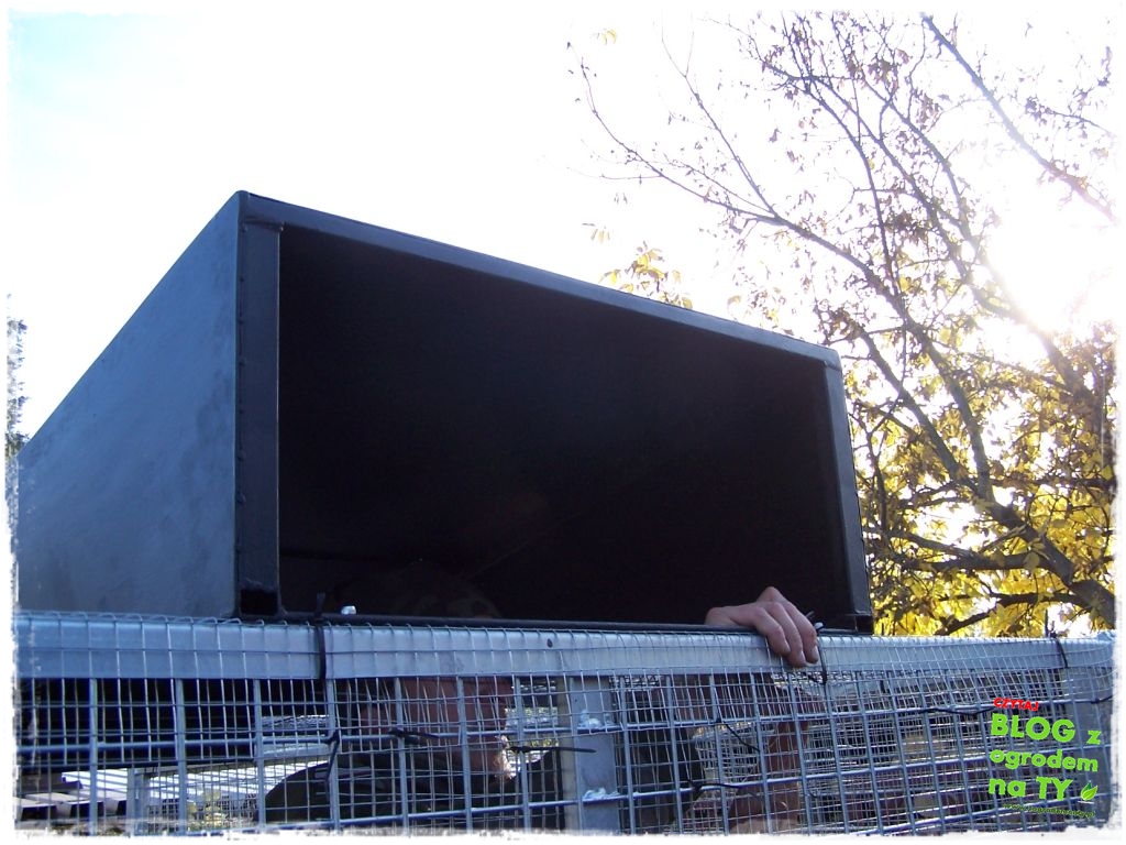 modyfikacja2_zogrodemnaty4