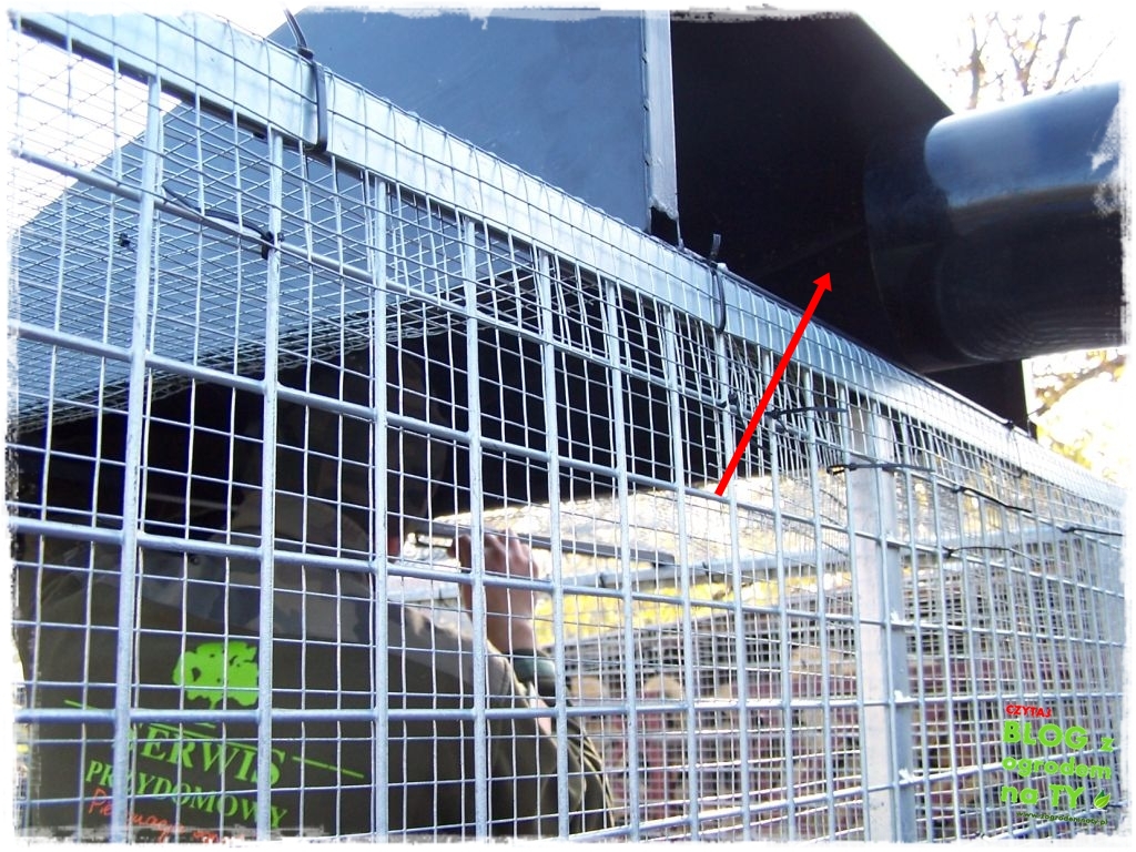 modyfikacja2_zogrodemnaty5