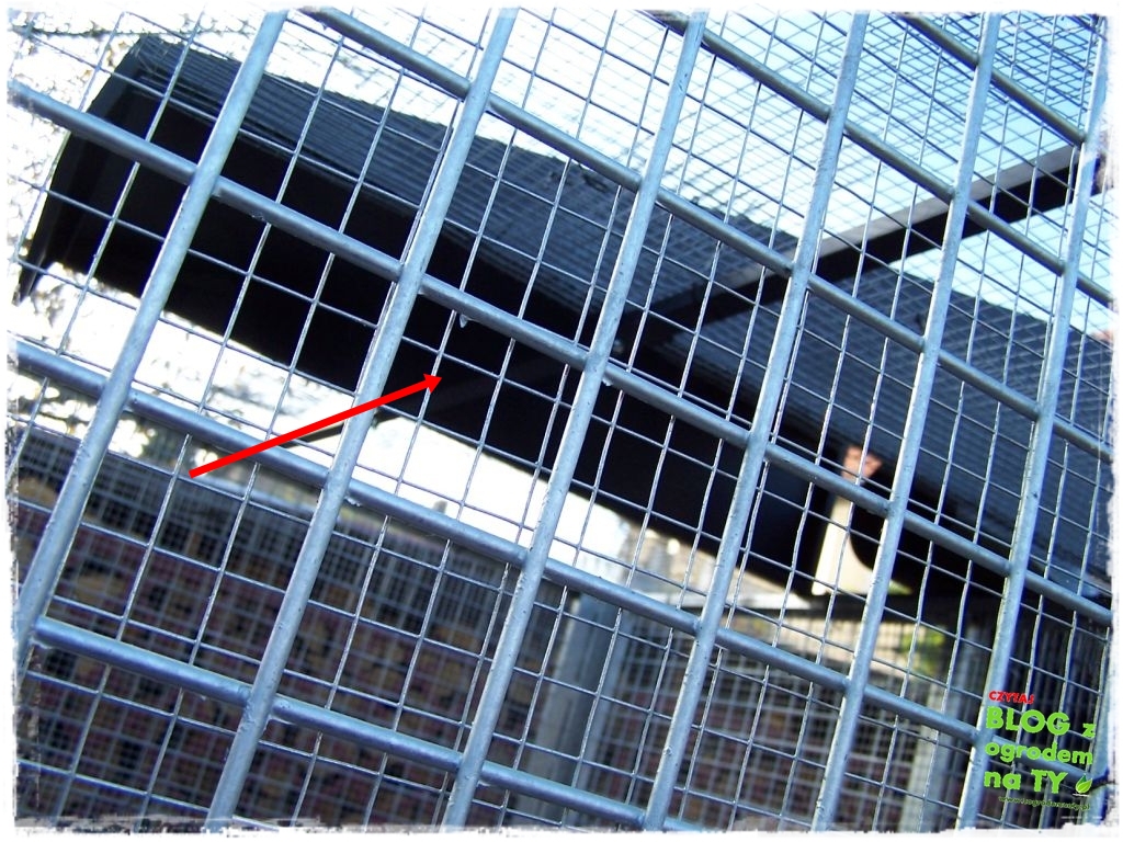 modyfikacja2_zogrodemnaty8