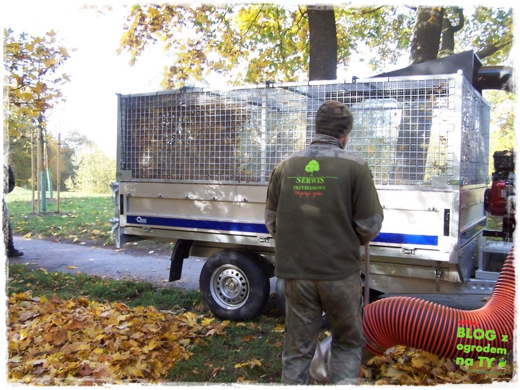 modyfikacja2_zogrodemnaty9