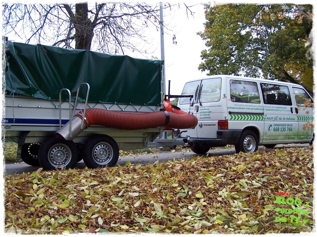 modyfikacja_zogrodemnaty21