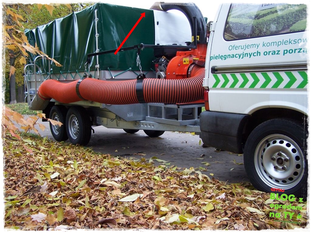 modyfikacja_zogrodemnaty22