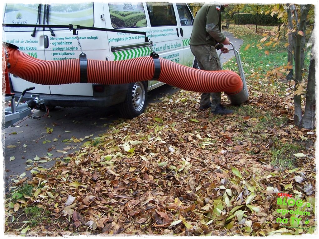 modyfikacja_zogrodemnaty23