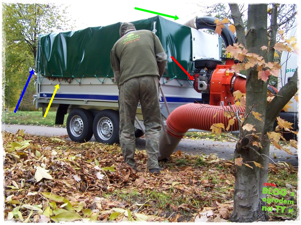 modyfikacja_zogrodemnaty24