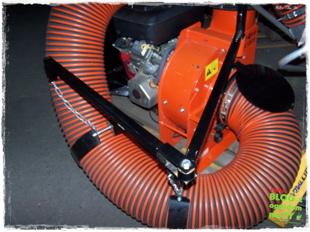 modyfikacja_zogrodemnaty4