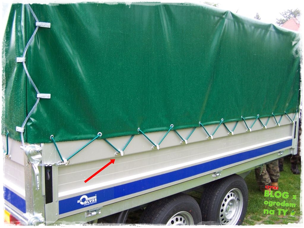 modyfikacja_zogrodemnaty6