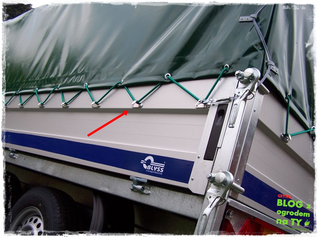 modyfikacja_zogrodemnaty7