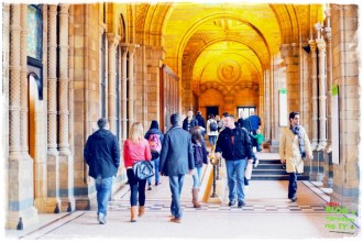 c0ce31121e7e6ccca4b2af0ad5b7c505