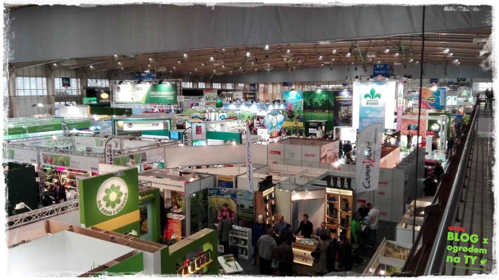 Gardenia 2016 poznań zogrodemnaty4